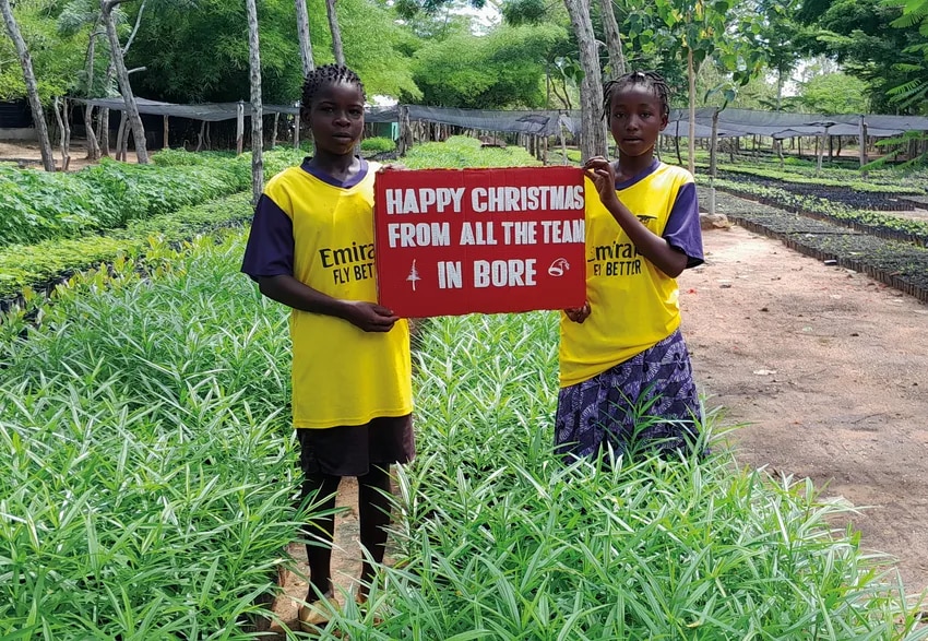 Managing the Arsenal Forest