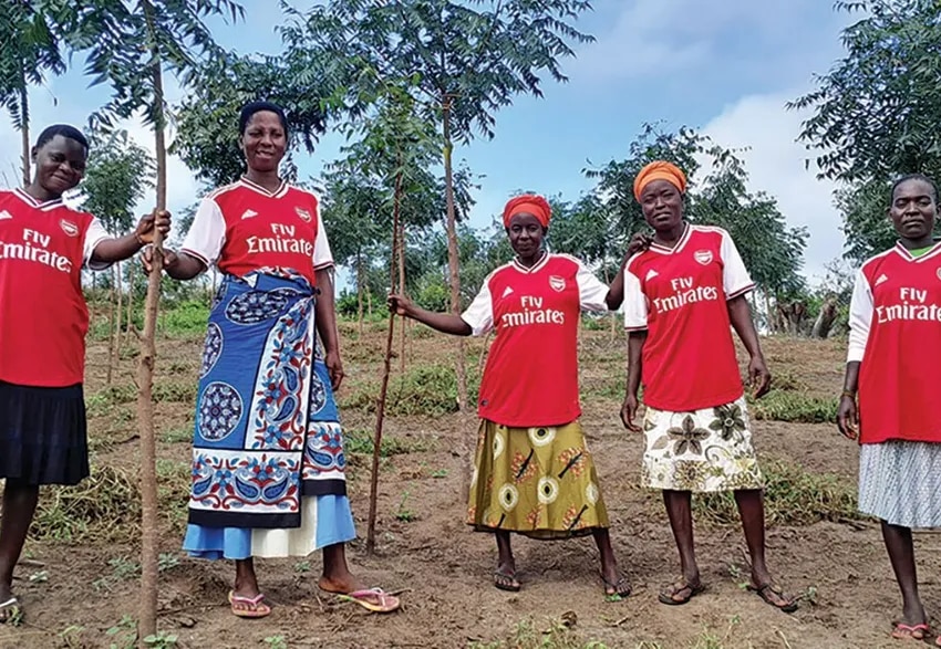 The Arsenal Forest