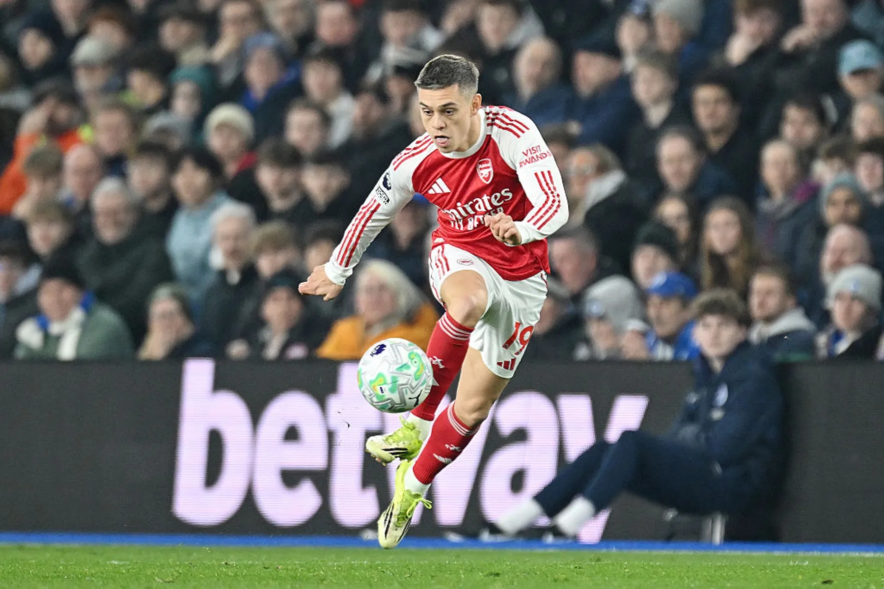 Gallery: 30 of the best from Brighton